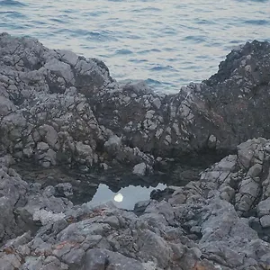 Fiore Di Loto , Carini Italie